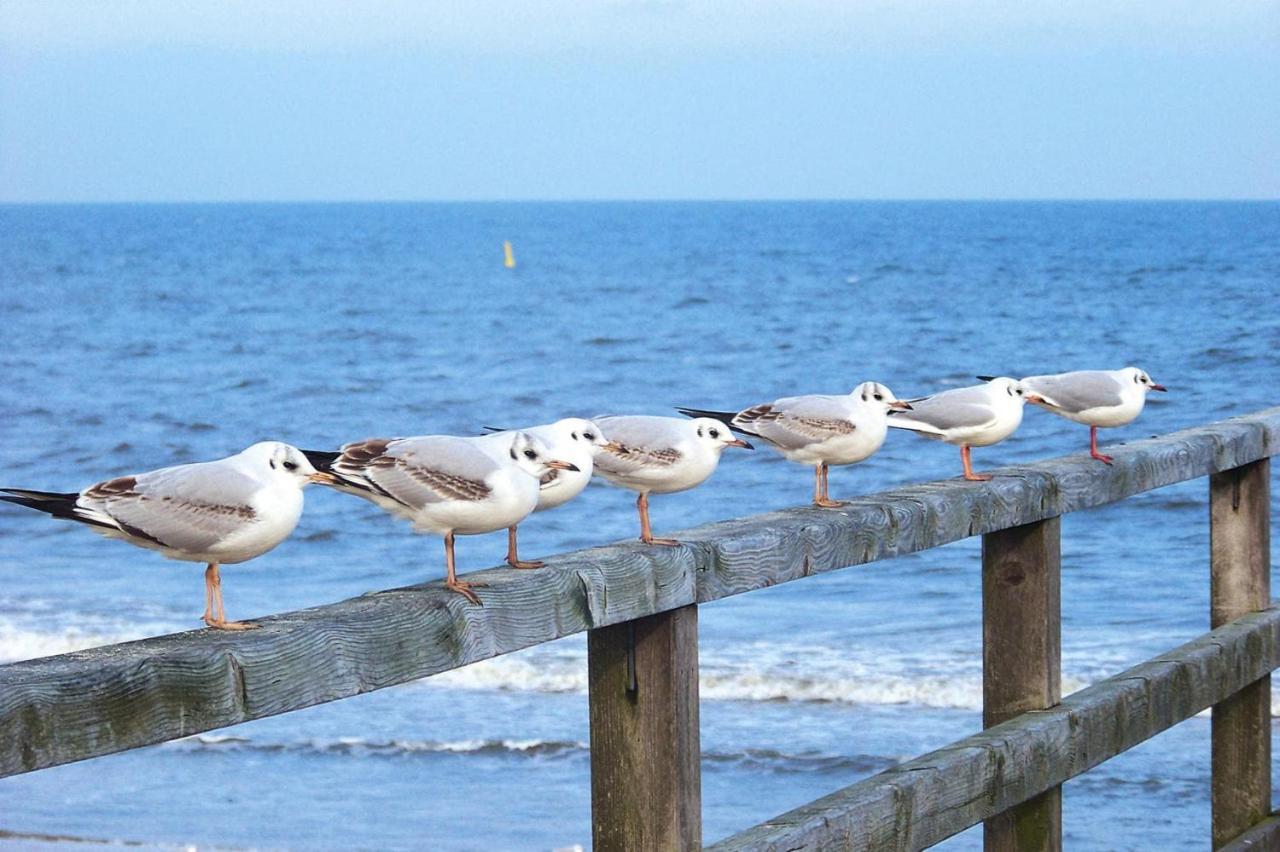 Ferienwohnung Strandidyll, Trassenheide Luaran gambar